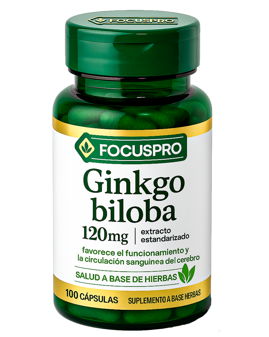 FOCUS PRO - Ginkgo Biloba