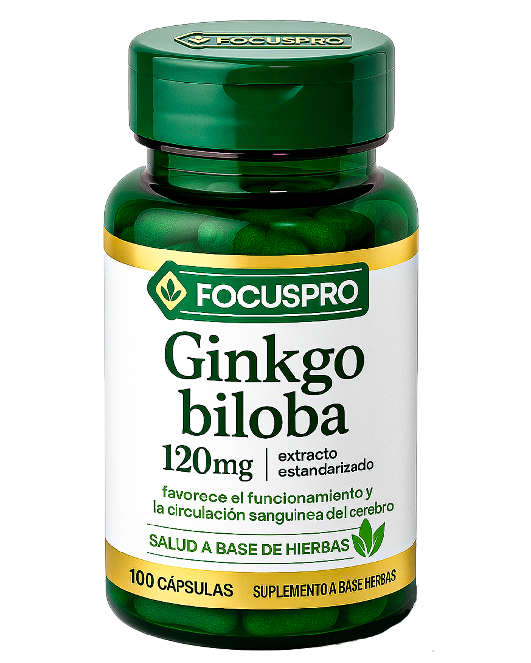 FOCUS PRO - Ginkgo Biloba